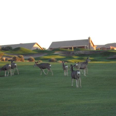 Gold Canyon Golf Resort Δωμάτιο φωτογραφία