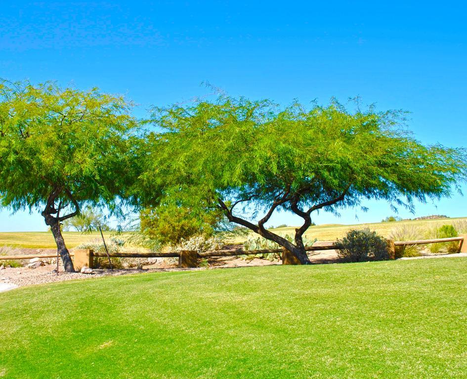 Gold Canyon Golf Resort Δωμάτιο φωτογραφία